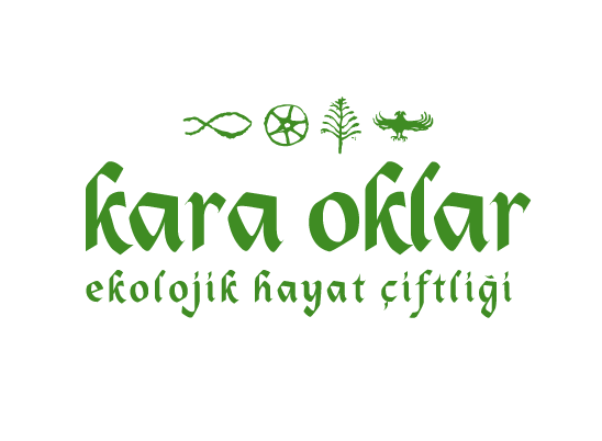 Kara Oklar